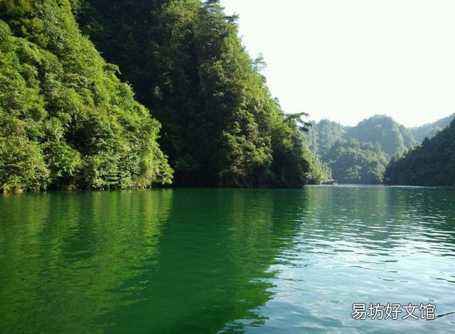 枝繁叶茂春意浓。下联该怎么对?