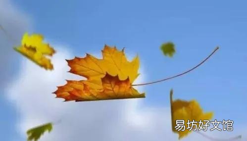 上联:风吹杨柳,片片柳絮发如雪。下联怎么对?