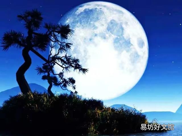 上联:醉眼看花花非花。求下联?
