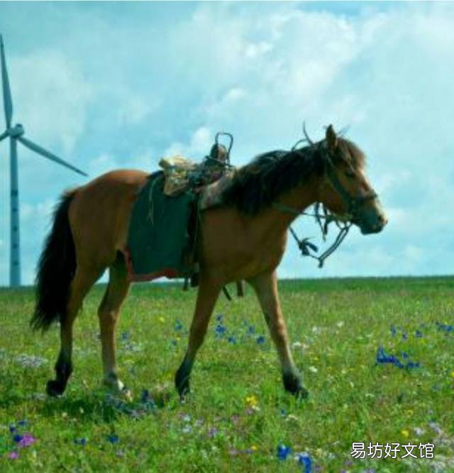 上联“云带钟声穿树去”,如何对下联?