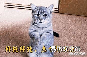 下联“进退两难难抉择”，如何对下联？