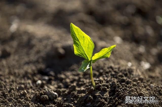 人在落魄的时候,一无所有,山穷水尽,负债累累,身边所有的人都离开了,应该怎么办?