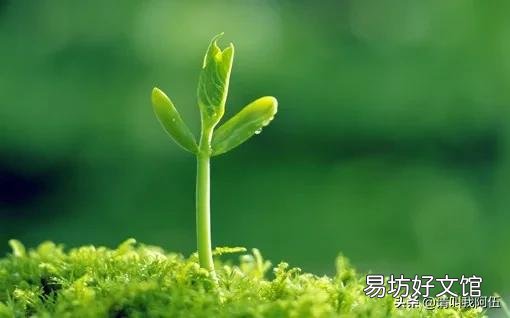 人在落魄的时候,一无所有,山穷水尽,负债累累,身边所有的人都离开了,应该怎么办?
