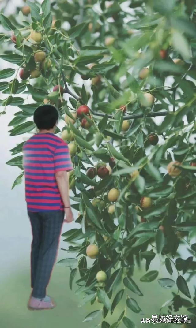 人在落魄的时候,一无所有,山穷水尽,负债累累,身边所有的人都离开了,应该怎么办?