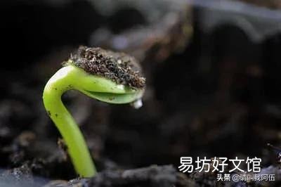 人在落魄的时候,一无所有,山穷水尽,负债累累,身边所有的人都离开了,应该怎么办?