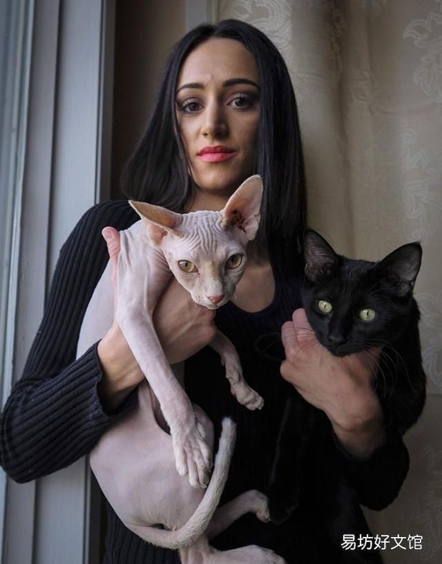 无毛猫多少钱(没有毛的猫多少钱一只?)