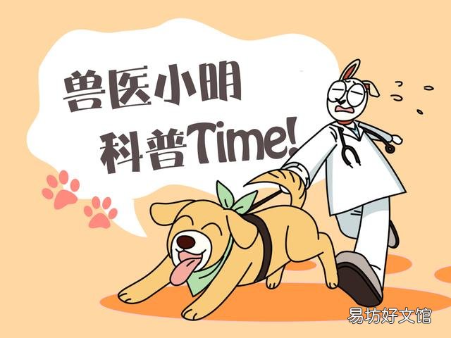 无毛猫多少钱(没有毛的猫多少钱一只?)