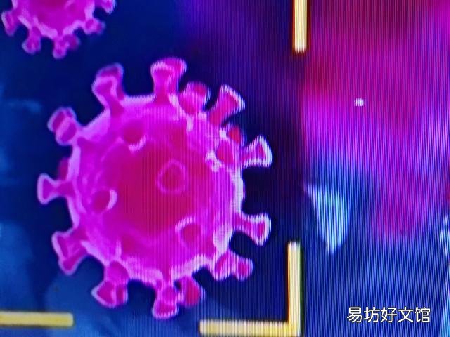 第四波疫情到了嗎？