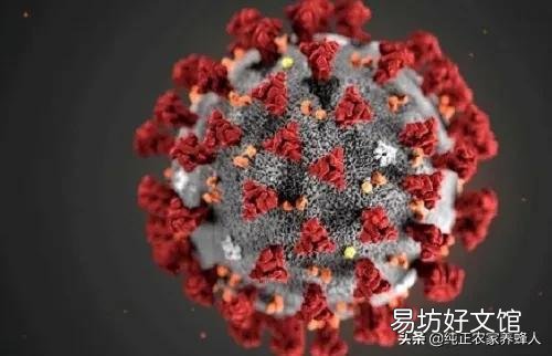 新冠病毒是否是人类史上最严重的一场瘟疫?