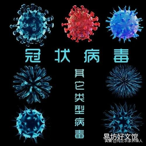 新冠病毒是否是人类史上最严重的一场瘟疫?