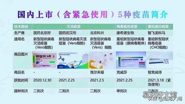 新冠疫苗第二針晚打就前功盡棄嗎？