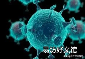 疫情什么时候是个头？