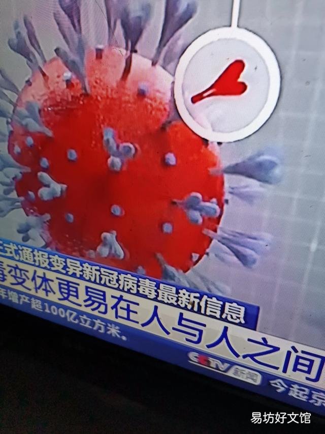 世界疫情疯狂蔓延,已在中国周边快速爆发,我们该如何应对?