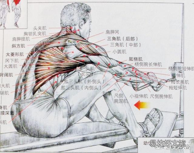 一周健身计划怎么安排?