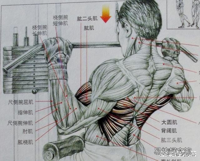 一周健身计划怎么安排?