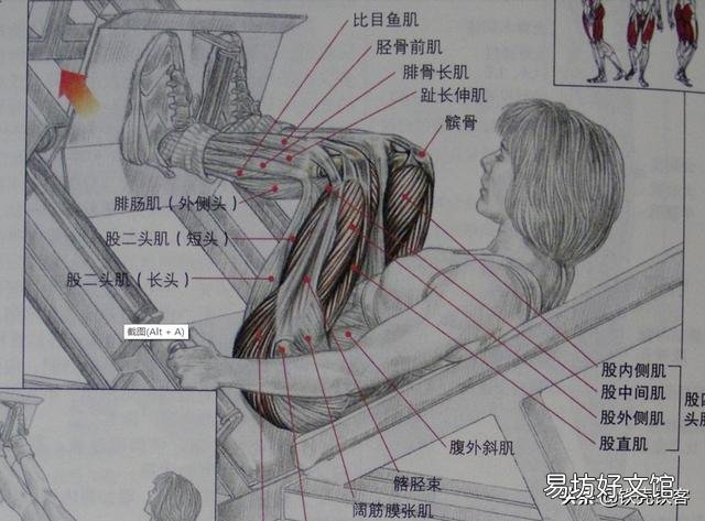 一周健身计划怎么安排?
