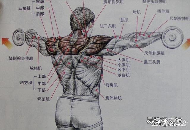 一周健身计划怎么安排?
