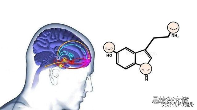 运动会分泌多巴胺，为什么自己从来没感受到，每次运动都觉得很累很痛苦，不喜欢运动，有什么好的解决办法吗？