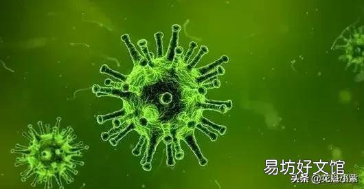 外界疫情蔓延，今年会不会提倡减少串亲戚拜年？