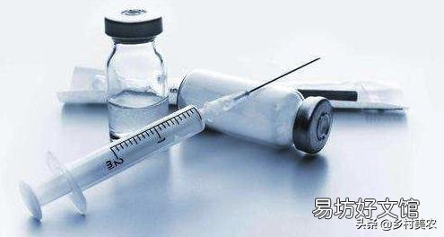 国产新冠疫苗快要上市,你会让全家人都接种疫苗吗?