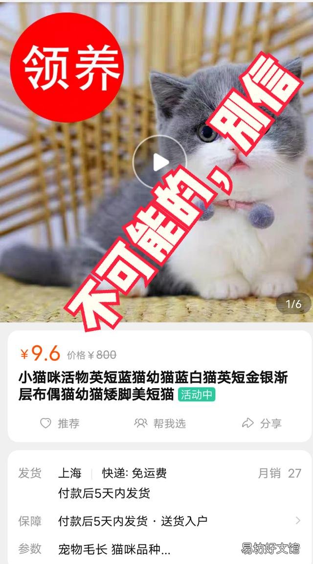 淘宝买猫(淘宝买猫微信交易是真是假)