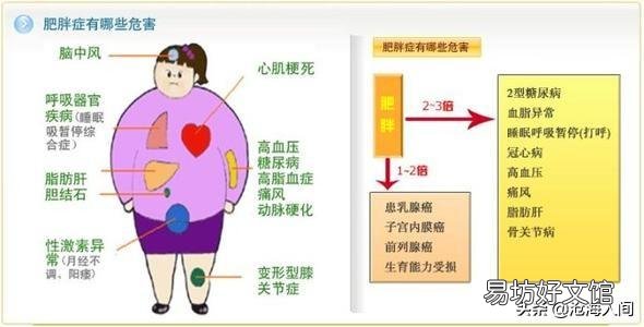 明明知道自己减完肥不会变成大美女,甚至不能变成美女,为什么还要减肥?