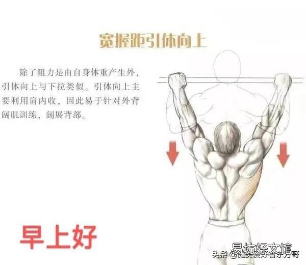 仰卧起坐，俯卧撑不能减肥吗？