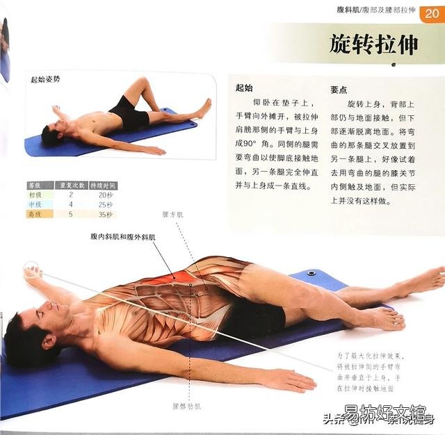 女生怎么样练马甲线或者腹肌?