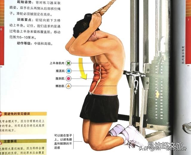 女生怎么样练马甲线或者腹肌?