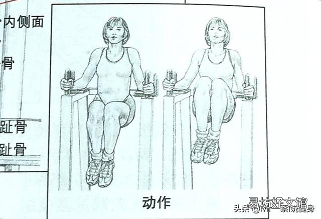女生怎么样练马甲线或者腹肌?