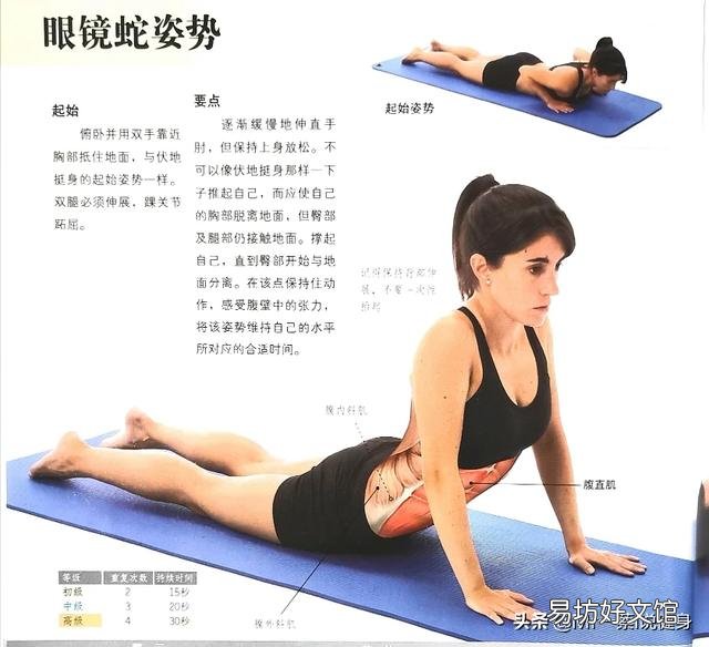女生怎么样练马甲线或者腹肌?