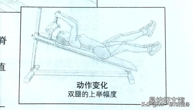 女生怎么样练马甲线或者腹肌?