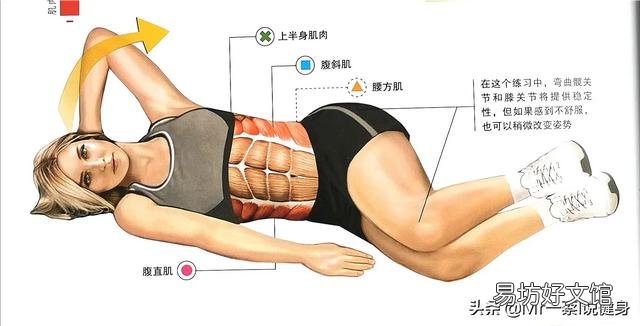 女生怎么样练马甲线或者腹肌?
