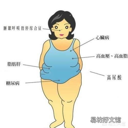 你们觉得女生太胖，必须减肥吗？