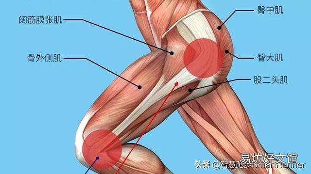 跑步对锻炼腿部肌肉有多大效果？