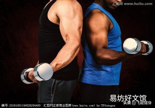 有氧和力量应该先练哪个？