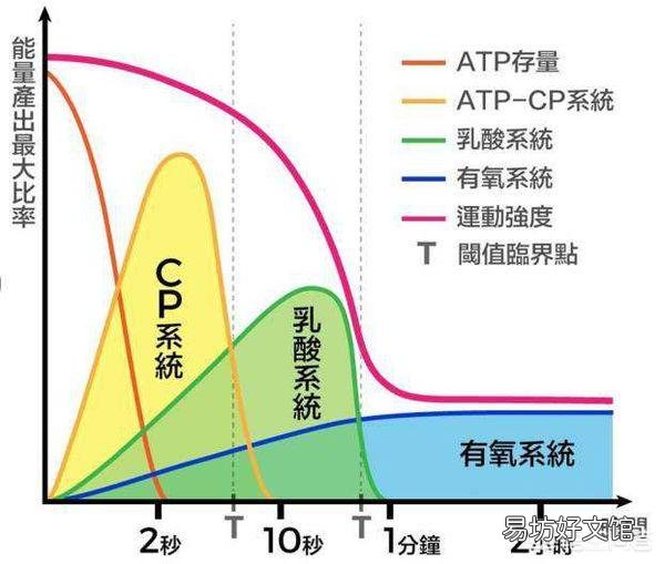 有氧和力量应该先练哪个？