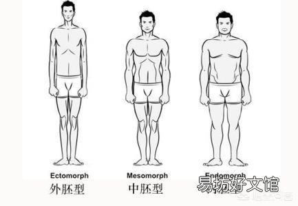 瘦人该怎么健身呢？