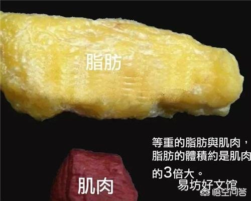 每天都跑步30-50分钟,体重轻了,体脂率为啥还升了?怎么办呢?