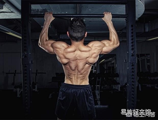 每天6点钟开始拉引体向上400个,这样练能增加肌肉和力量吗?能防身吗?