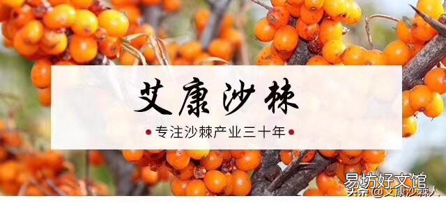 先做俯卧撑好，还是先跑步好？