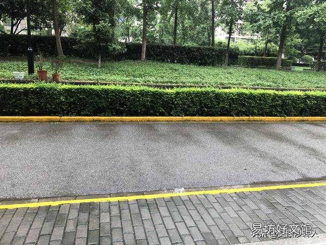 先做俯卧撑好，还是先跑步好？
