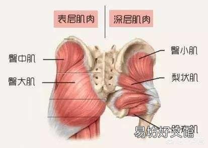 健身能练翘臀吗？