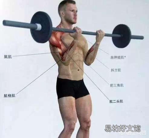 如何练习肱二头肌和臂力?俯卧撑可以吗?