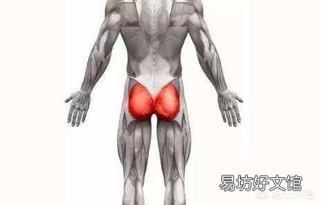 久坐的人该如何激活臀肌?