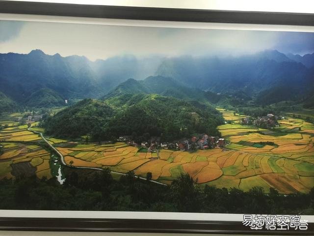 你会每天坚持健身吗？