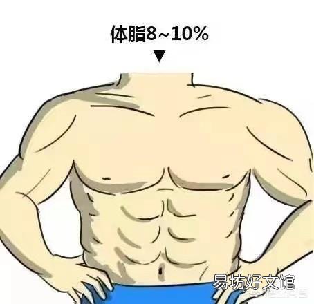 男人什么样的身材才算健壮?