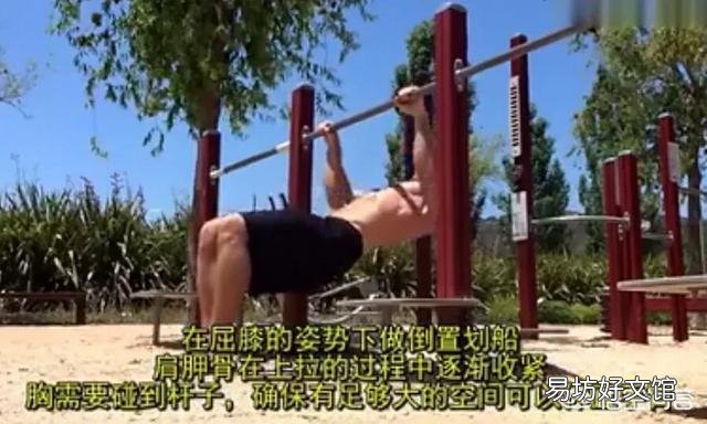 想提高引体向上成绩,每天需要做多少个俯卧撑以及需要多少时间?