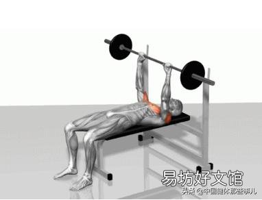 如何系统地健身,练肌肉?