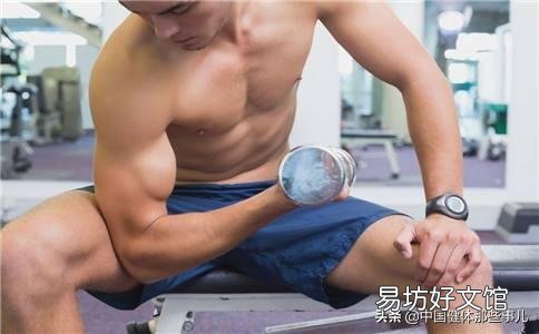 如何系统地健身,练肌肉?